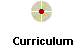 Curriculum