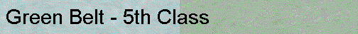 Green Belt - 5th Class