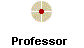 Professor
