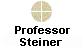 Professor